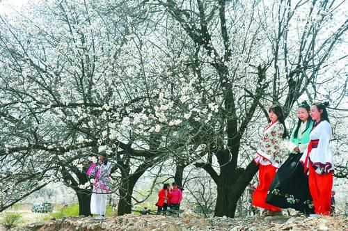 捷报比分实时数据面板